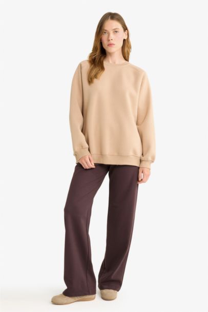 Oversize Loose Fit Basic Thick Fabric Sweatshirt