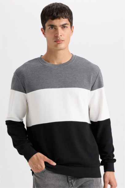 Regular Fit Bisiklet Yaka Jakarlı Sweatshirt