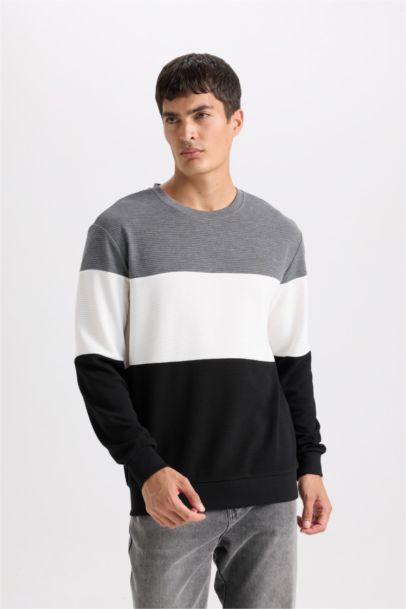 Regular Fit Bisiklet Yaka Jakarlı Sweatshirt