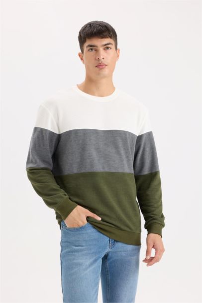 Regular Fit Sweatshirt