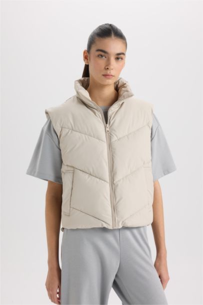 Regular Fit Stand Collar Quilted Zippered Puffer Vest