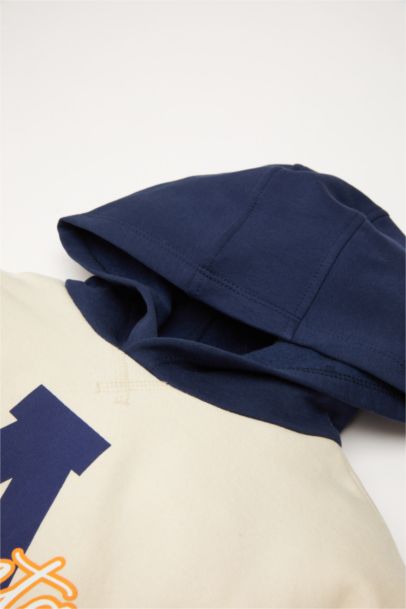 Baby Boy Printed Hooded Sweatshirt Jogger Sweatpants 2 Piece Set