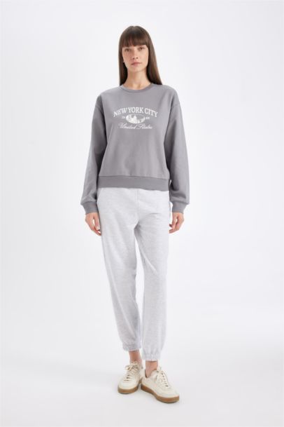 Regular Fit Crew Neck Printed Thin Sweatshirt