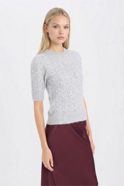 Regular Fit Crew Neck Basic Half Sleeve Knitwear Pullover