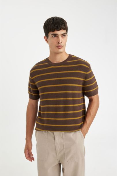 Standard Fit Crew Neck Cotton Striped T-Shirt
