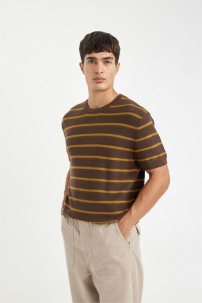 Standard Fit Crew Neck Cotton Striped T-Shirt