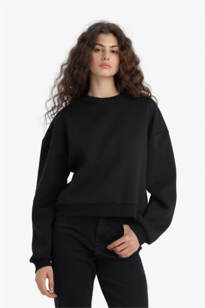 Regular Fit Crew Neck Thick Sweatshirt