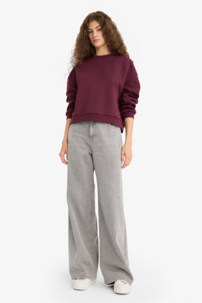 Regular Fit Crew Neck Thick Sweatshirt