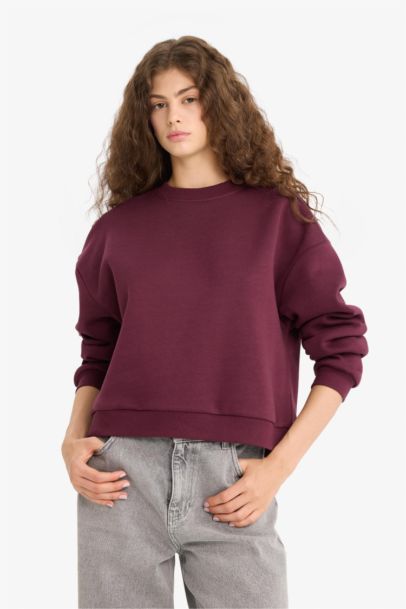 Regular Fit Crew Neck Thick Sweatshirt