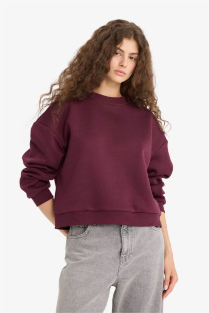 Regular Fit Crew Neck Thick Sweatshirt