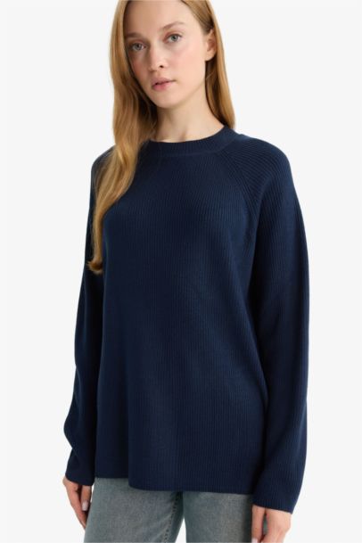 Regular Fit Crew Neck Basic Pullover