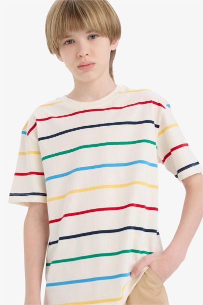 Boy Regular Fit Crew Neck Striped T-Shirt
