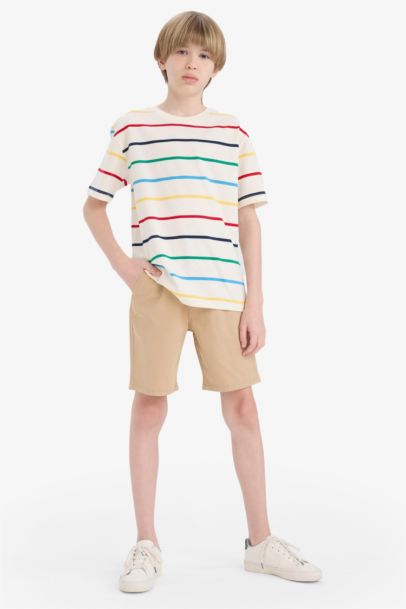 Boy Regular Fit Crew Neck Striped T-Shirt