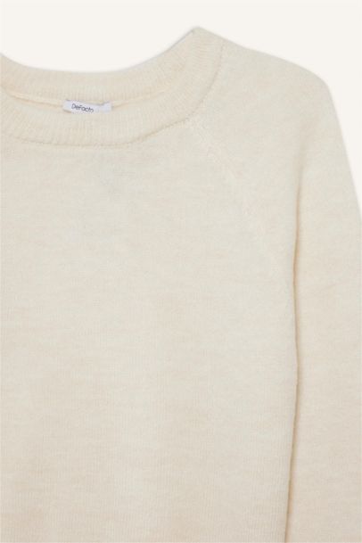 Regular Fit Crew Neck Basic Soft Touch Knit Pullover