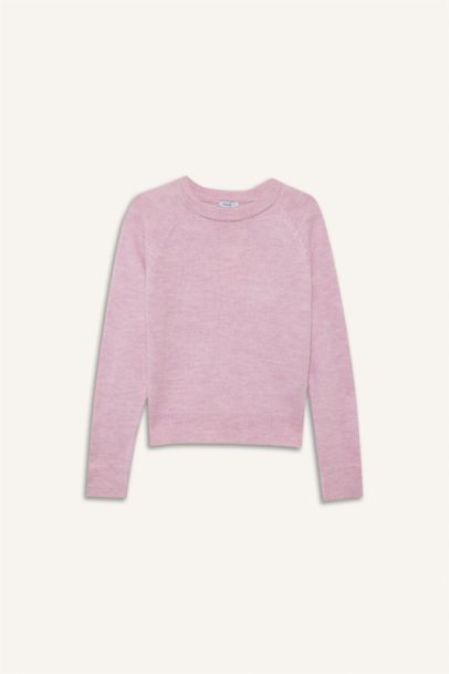 Regular Fit Crew Neck Basic Soft Touch Knit Pullover