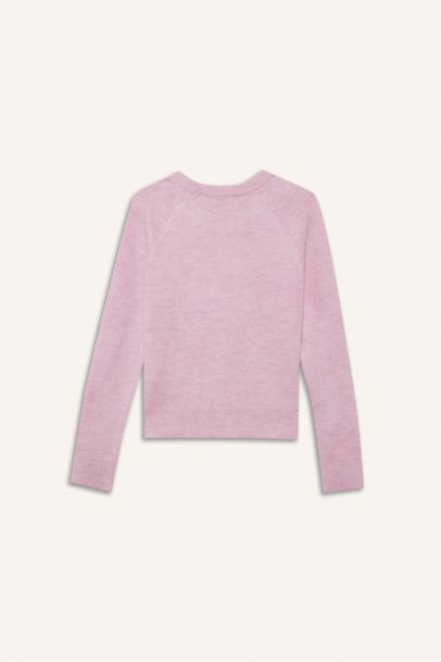 Regular Fit Crew Neck Basic Soft Touch Knit Pullover