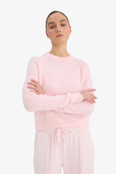 Regular Fit Crew Neck Pullover