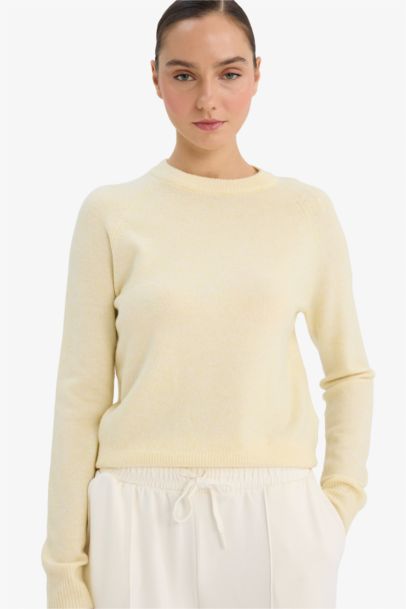 Regular Fit Crew Neck Pullover