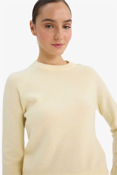 Regular Fit Crew Neck Pullover