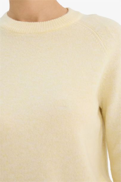Regular Fit Crew Neck Pullover