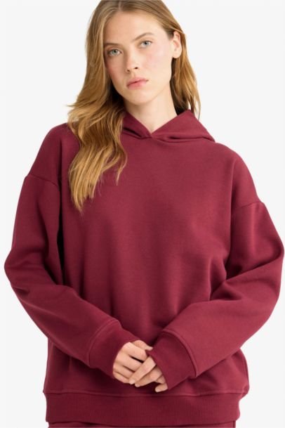 Relax Fit Hooded Basic Thick Sweatshirt