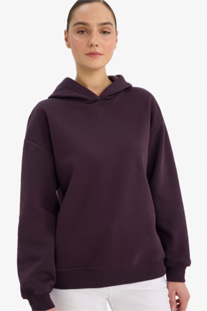 Relax Fit Kapüşonlu Basic Düz Kalın Sweatshirt