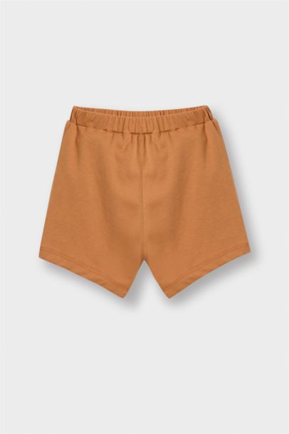 2'li Takım Aslan Baskılı Kısa Kollu Tişört Beli Lastikli Şort Erkek Bebek