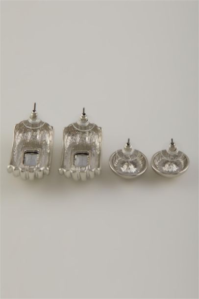 Woman 2 Piece Stone Silver Earrings