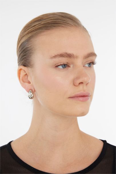 Woman 2 Piece Silver Earrings