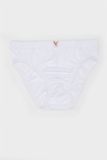 Lot de 3 Culottes slips pour garçon