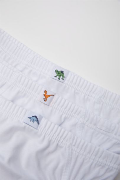 Lot de 3 Culottes slips pour garçon