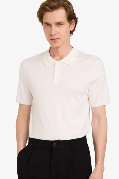 Standard Fit Short Sleeves Knit Polo T-shirt