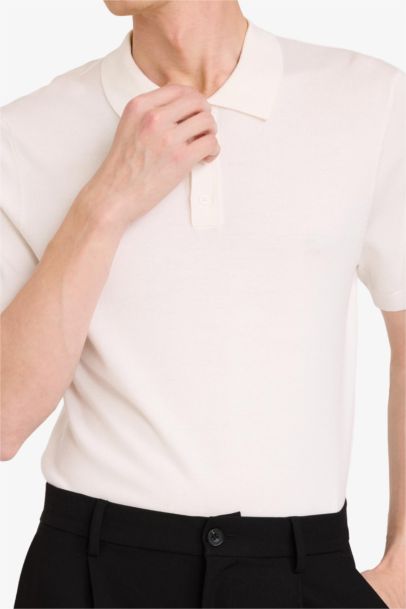 Standard Fit Short Sleeves Knit Polo T-shirt