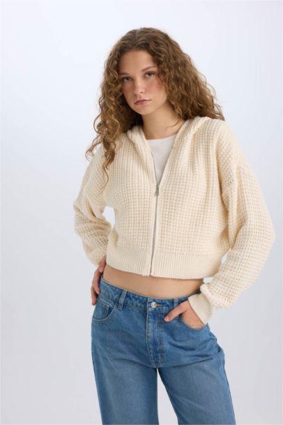 Regular Fit Kapüşonlu Fermuarlı Triko Hırka