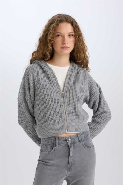 Regular Fit Kapüşonlu Fermuarlı Triko Hırka