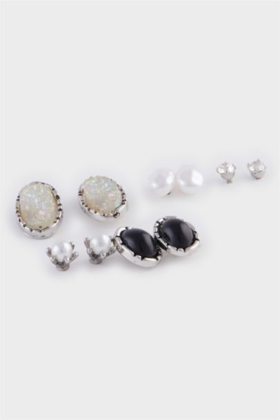 Woman 6 Piece Stone Silver Earrings