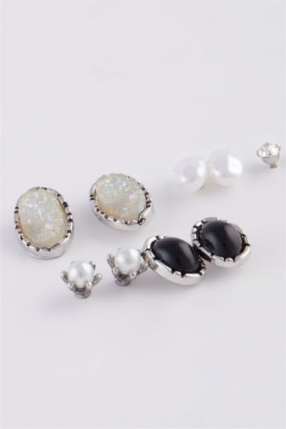 Woman 6 Piece Stone Silver Earrings