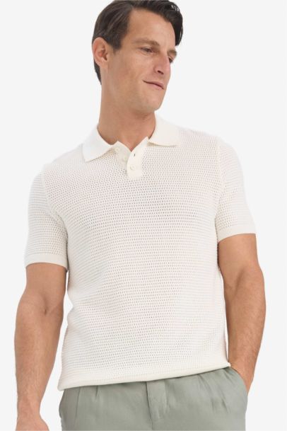 Standard Fit Short Sleeve Knitwear Cotton Polo T-Shirt