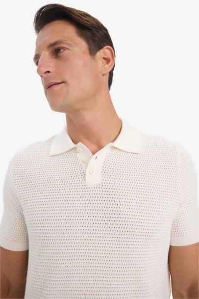 Standard Fit Short Sleeve Knitwear Cotton Polo T-Shirt