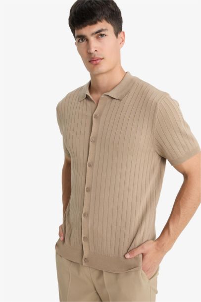 Standart Fit Polo Yaka Triko Kısa Kollu Tişört