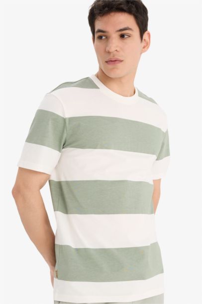 Cotton Regular Fit Crew Neck Striped T-Shirt