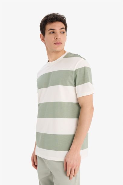 Cotton Regular Fit Crew Neck Striped T-Shirt