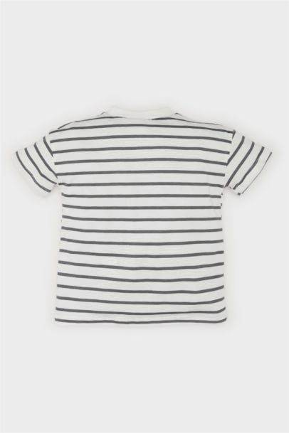 Baby Boy Crew Neck Striped T-Shirt