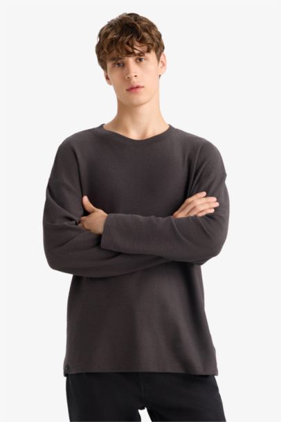 Boxy Fit Crew Neck Cotton Long Sleeve T-Shirt