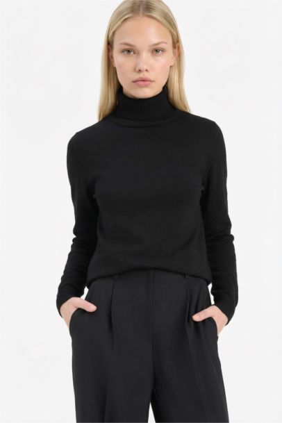 Pull en maille à col roulé Coupe régulière