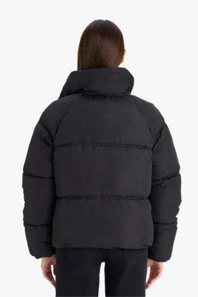 Waterproof Regular Fit Puffer Jacket