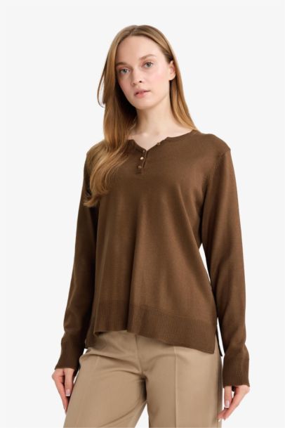 Regular Fit V-Neck Pullover