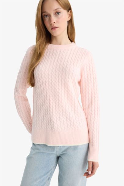 Regular Fit Crew Neck Pullover