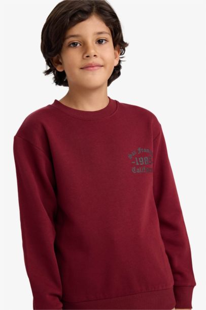 Regular Fit Basic Crew Neck Sweatshirt