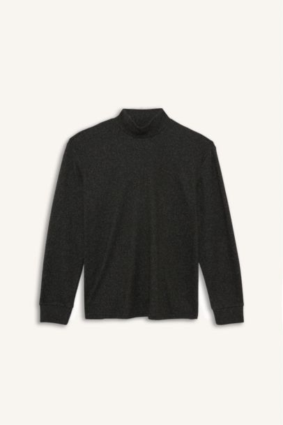 سويت شيرت قصة عادية برقبة عالية